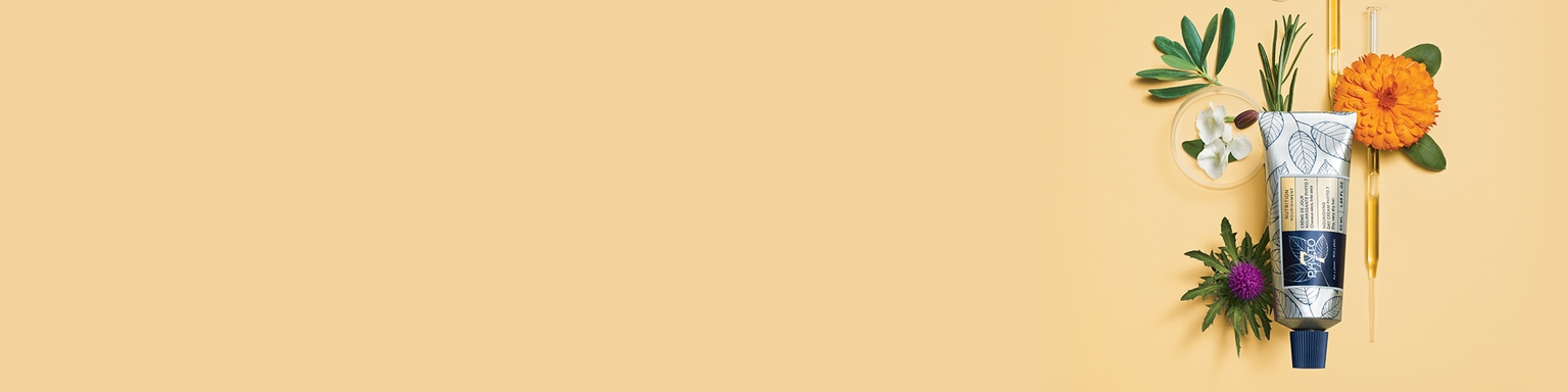 Los tratamientos Icono