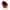Phytocyane TRATAMIENTO ANTICAÍDA MUJER