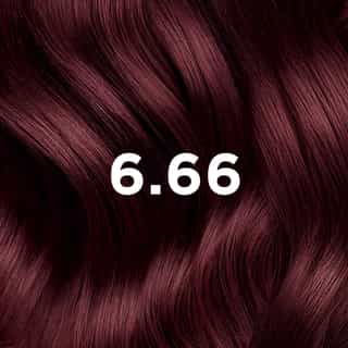 Phyto Hair Color  6.66 Castaño claro cereza intenso
