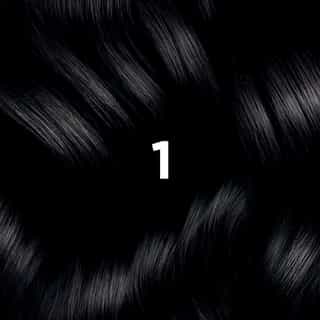 Phyto Hair Color 1 Negro