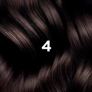 Phyto Hair Color 4 Castaño