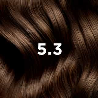 Phyto Hair Color 5.3 Castaño Claro Dorado