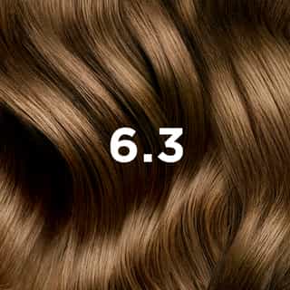 Phyto Hair Color 6.3 Rubio Oscuro Dorado