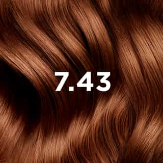 Phyto Hair Color 7.43 Rubio Cobrizo Dorado