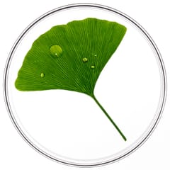 Phytocyane TRATAMIENTO ANTICAÍDA MUJER