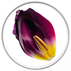 Phytocyane TRATAMIENTO ANTICAÍDA MUJER