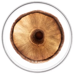 Phytocyane TRATAMIENTO ANTICAÍDA HOMBRE