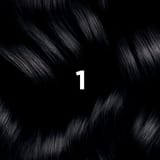 Phyto Hair Color 1 Negro