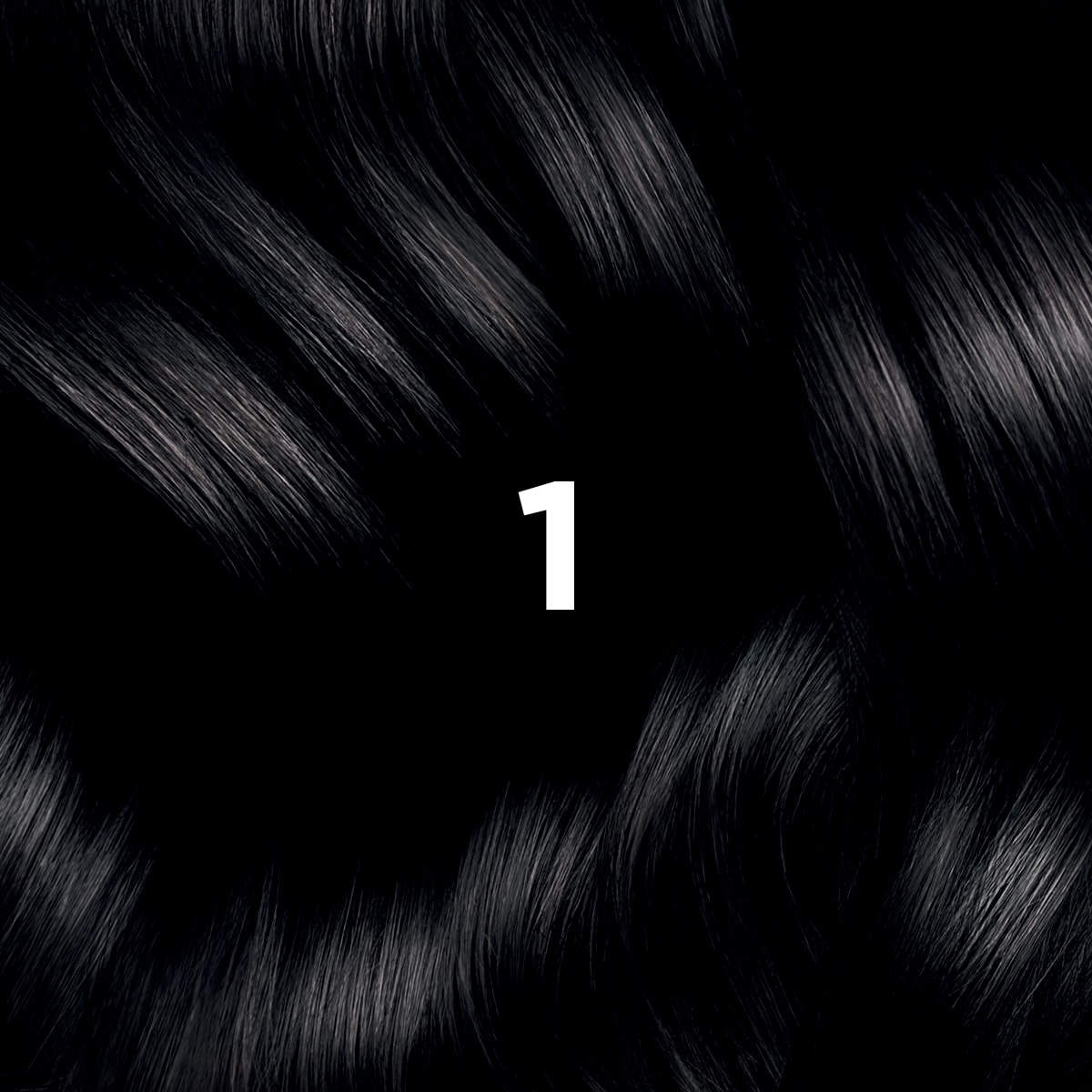 Phyto Hair Color 1 Negro