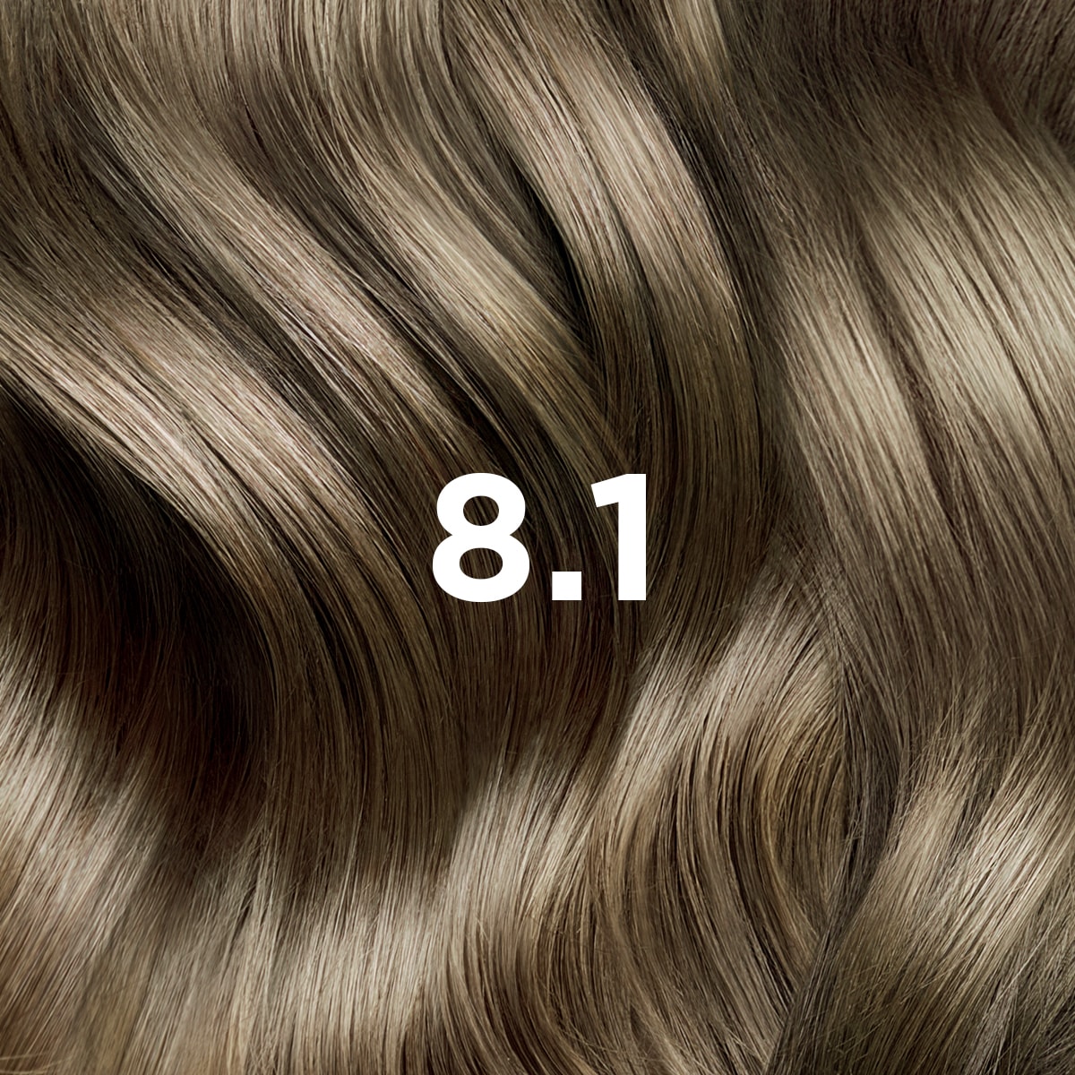 Phyto Hair Color 8.1 Rubio Claro Cendre
