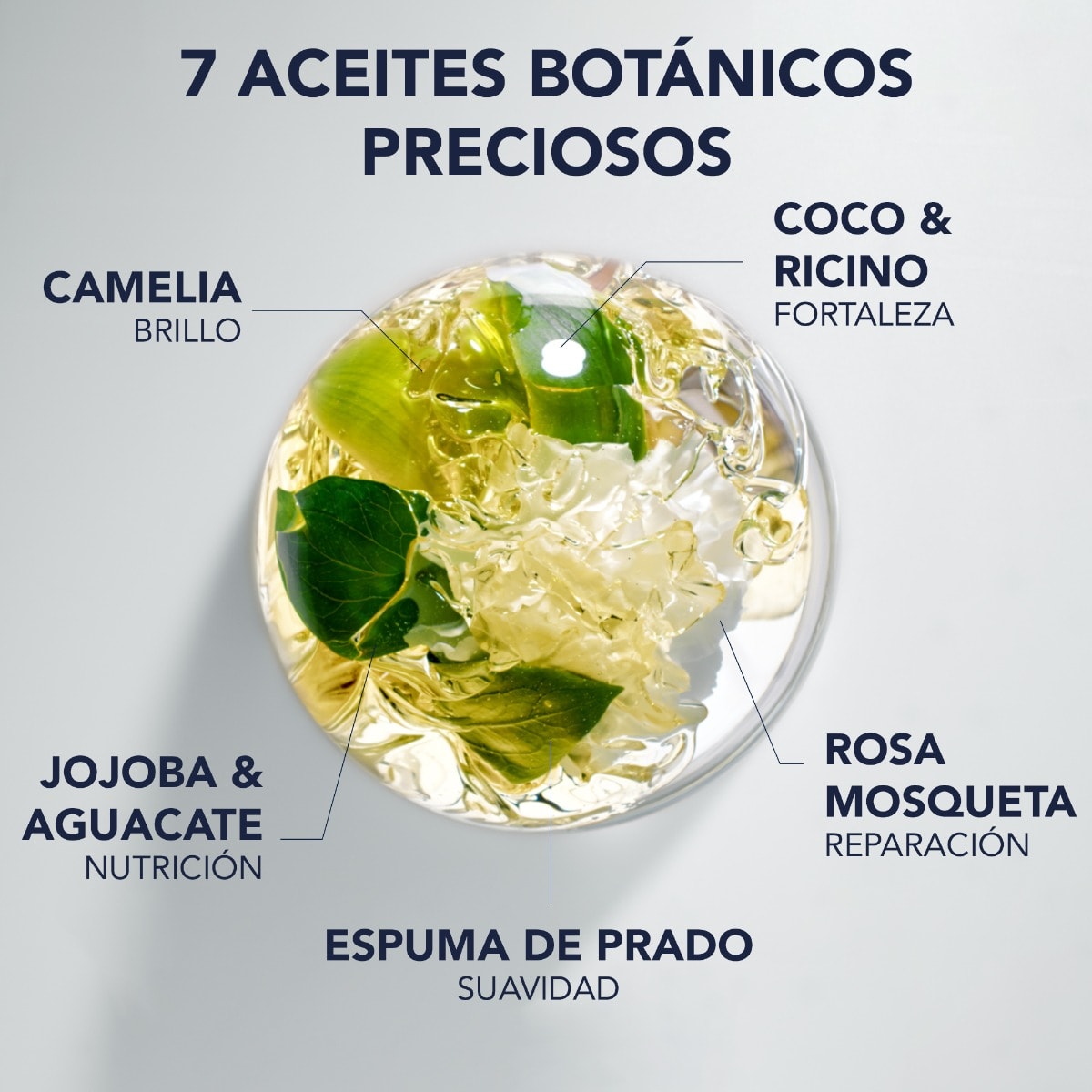 Phyto 7 Elixir Aceite nutrición Absoluta