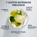 Phyto 7 Elixir Aceite nutrición Absoluta