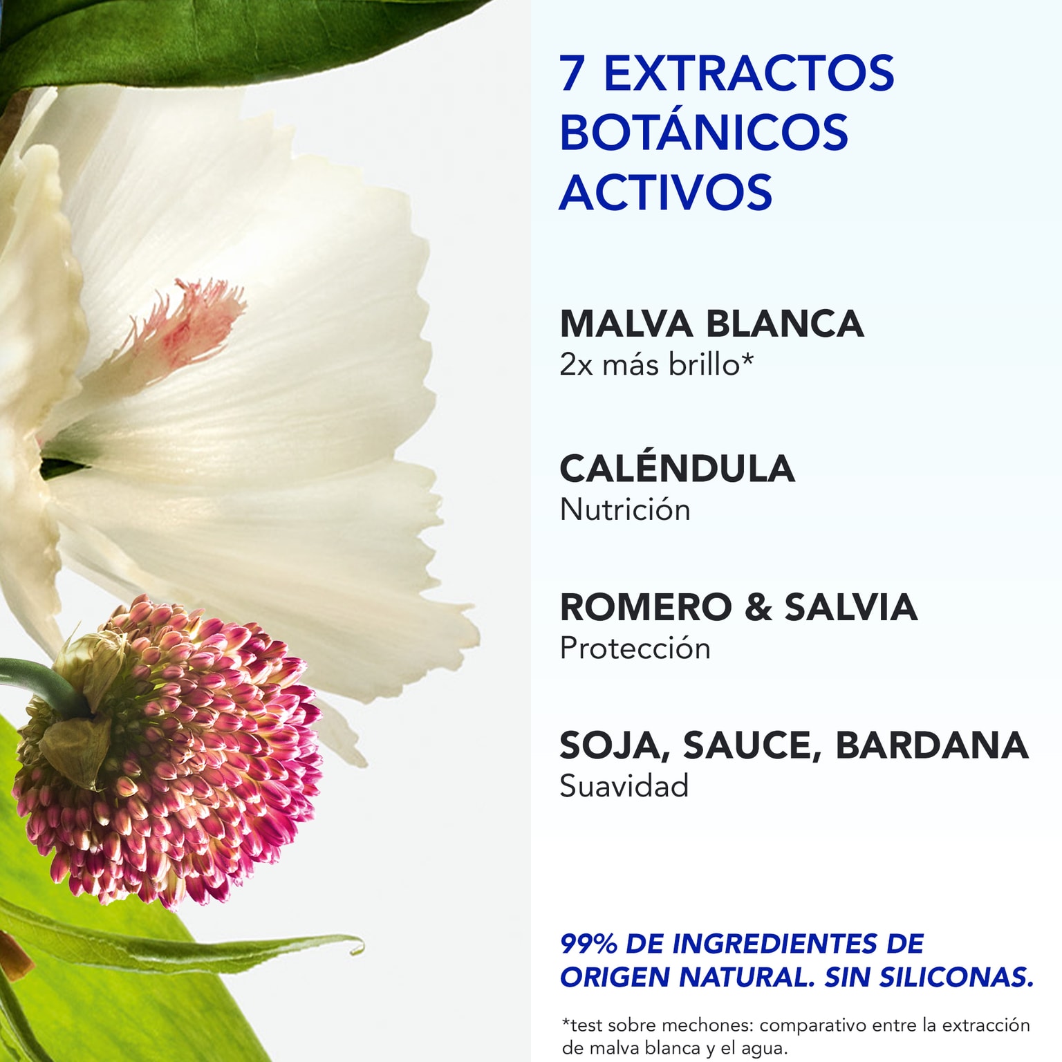 Phyto 7 Elixir Crema de día universal 50 ml
