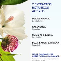 Phyto 7 Elixir Crema de día universal 50 ml
