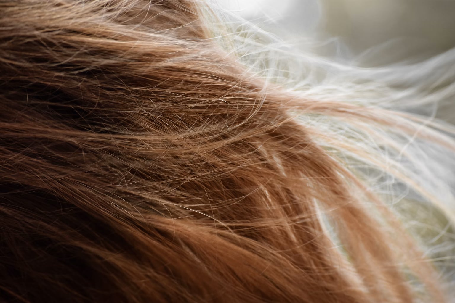 Rutina de reparación para cabello dañado por el verano: reconstruye la fibra antes del otoño