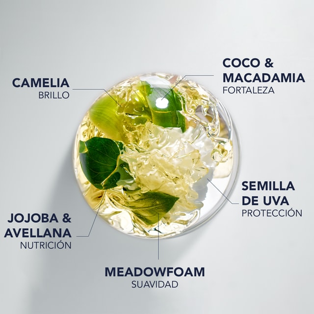 7 ACEITES BOTÁNICOS PRECIOSOS